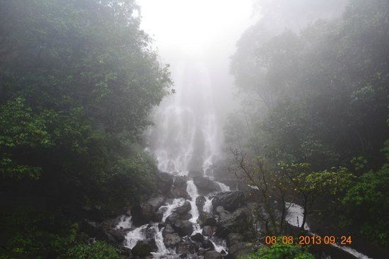Amboli Water Falls